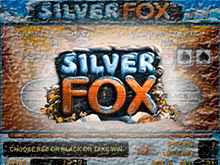 Silver Fox