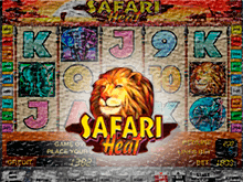 Safari Heat