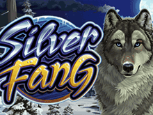 Игровой автомат Silver Fang